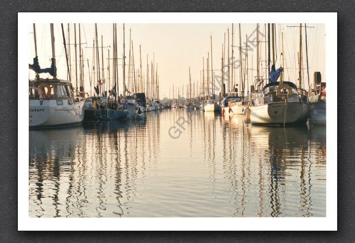 masts.jpg