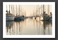 masts.jpg