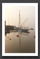 misty_morn.jpg